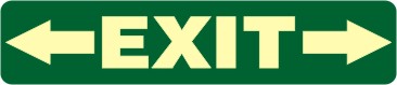 E 231